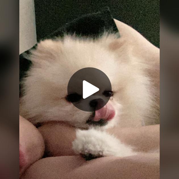 출처_TikTok 송다은 TikTok 프로필